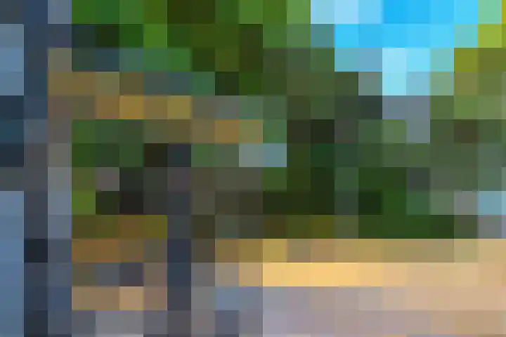 Overtoom 10 B Amsterdam thumbnail 33