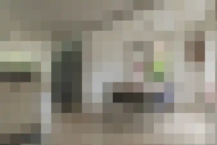 Overtoom 11 Bovenkarspel thumbnail 16