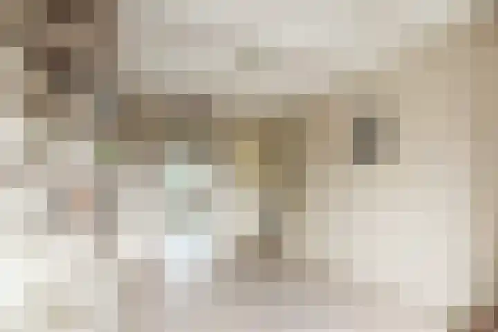 Overtoom 11 Bovenkarspel thumbnail 31