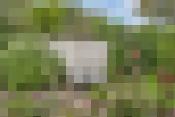 Overtoom 11 Bovenkarspel thumbnail 40