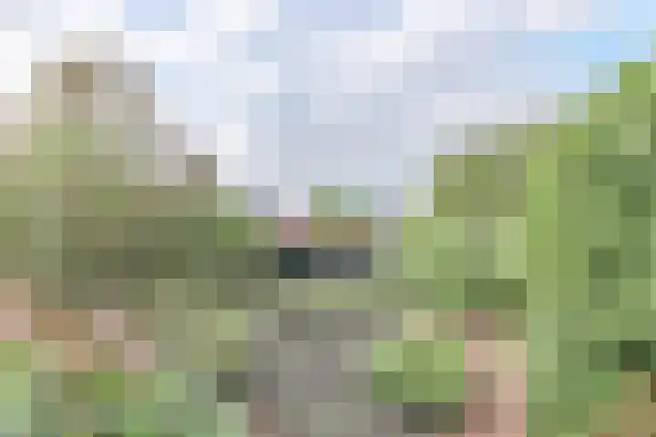 Overtoom 11 Bovenkarspel thumbnail 42