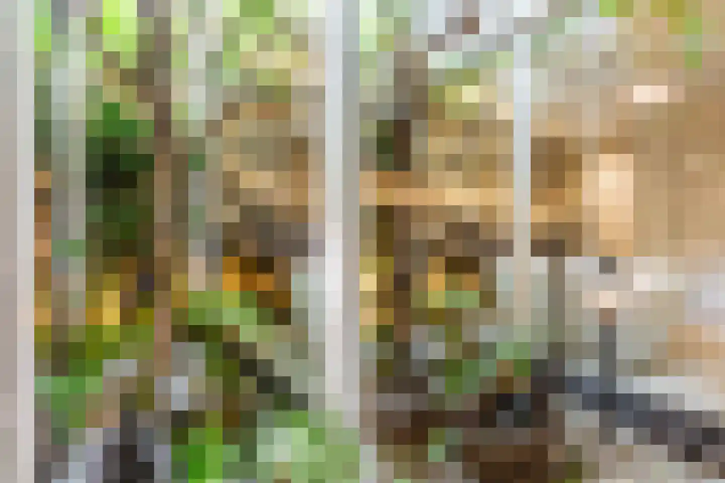 Overtoom 111 Amsterdam thumbnail 18