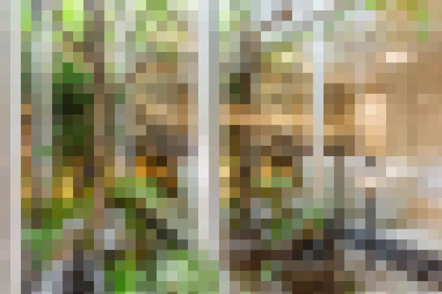 Overtoom 111 Amsterdam thumbnail 18