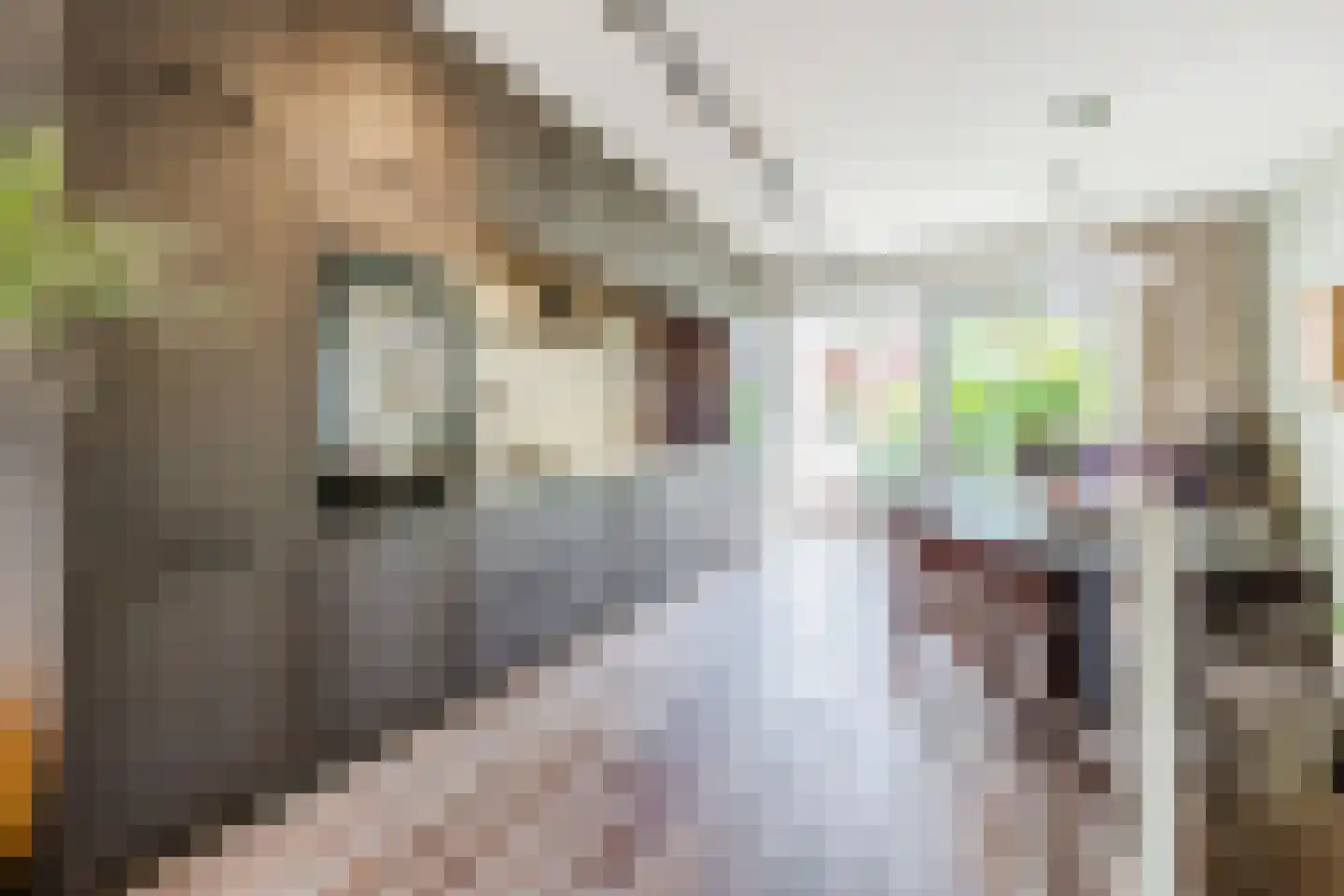 Overtoom 111 Amsterdam thumbnail 22