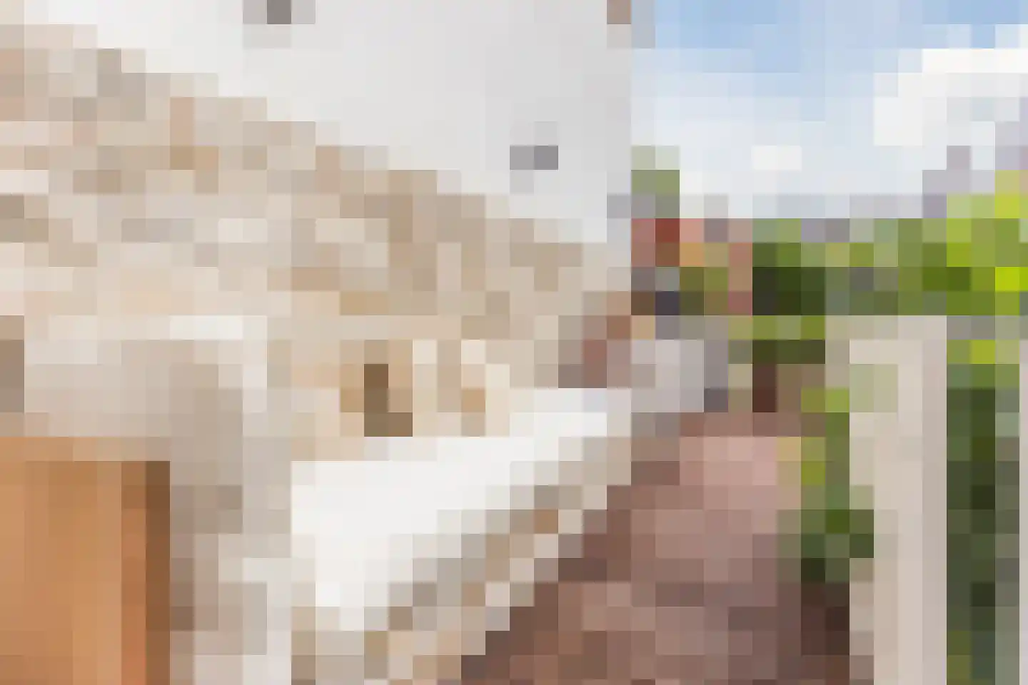 Overtoom 111 Amsterdam thumbnail 29
