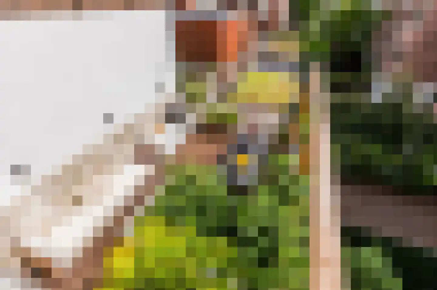 Overtoom 111 Amsterdam thumbnail 4
