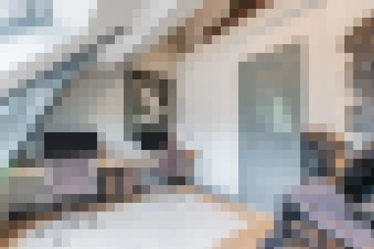 Overtoom 111 Amsterdam thumbnail 41