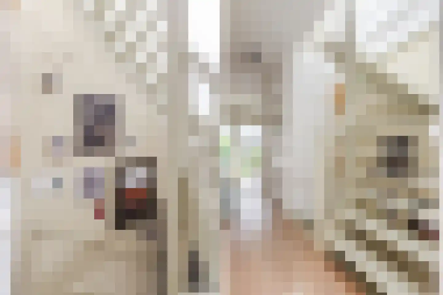 Overtoom 111 Amsterdam thumbnail 47