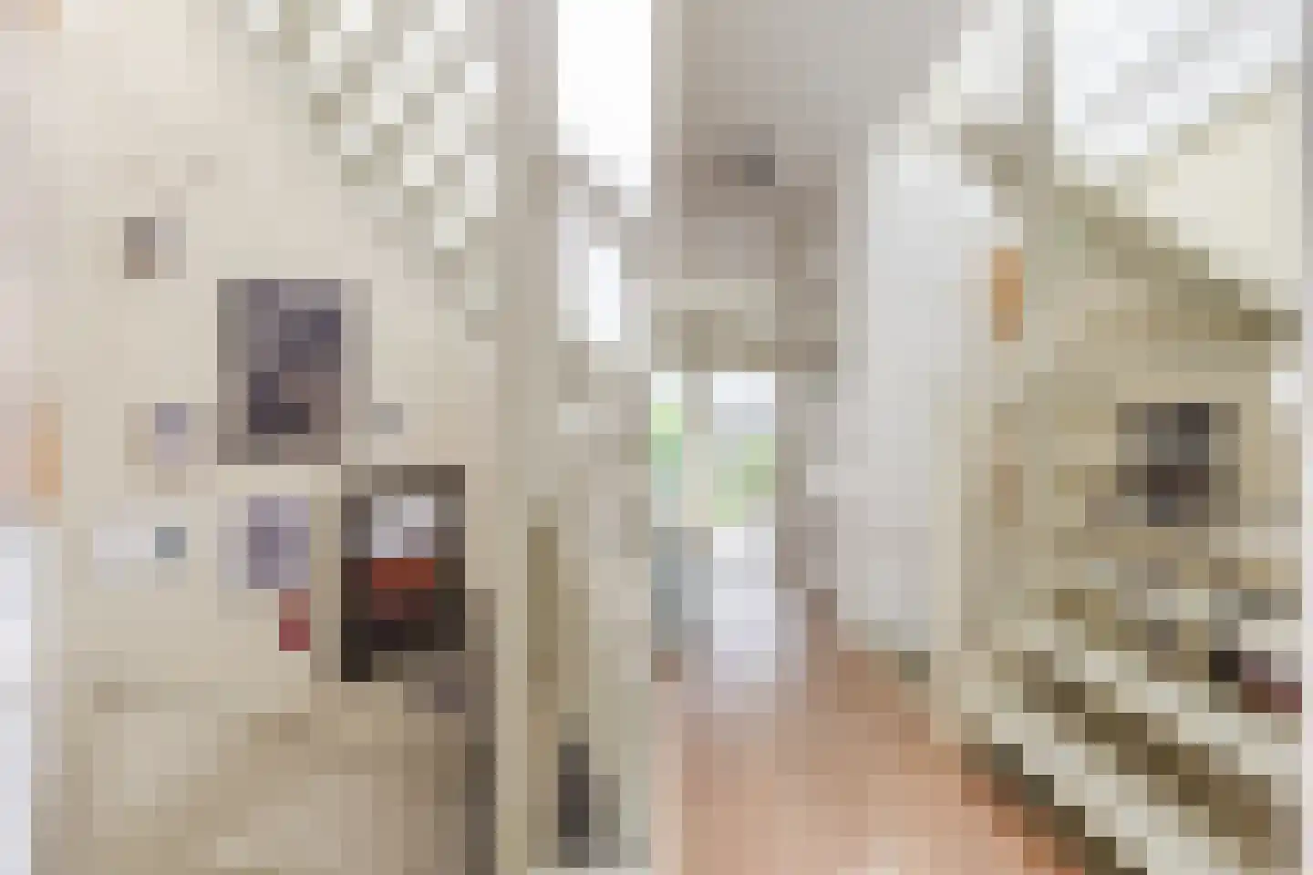 Overtoom 111 Amsterdam thumbnail 47