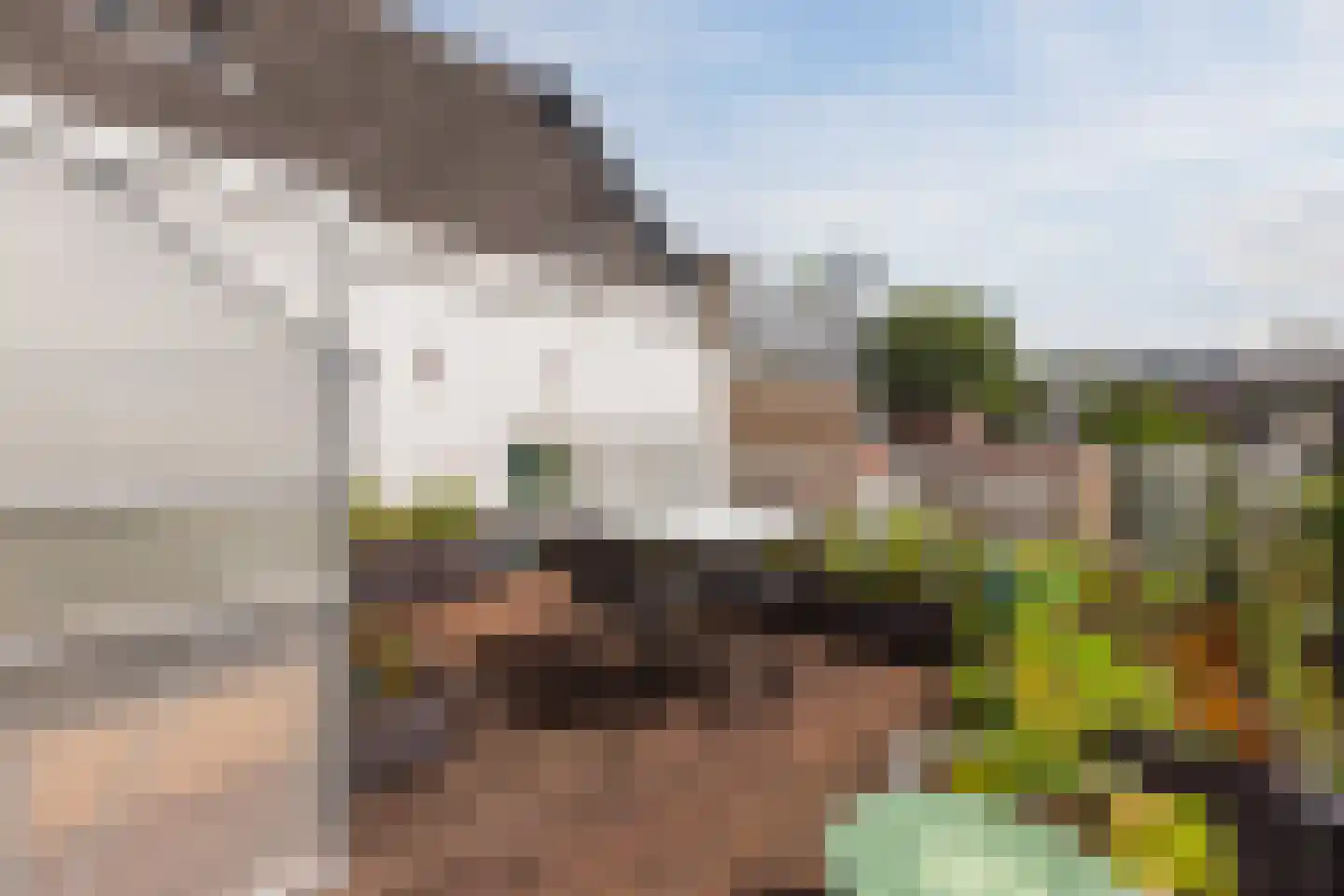 Overtoom 111 Amsterdam thumbnail 49