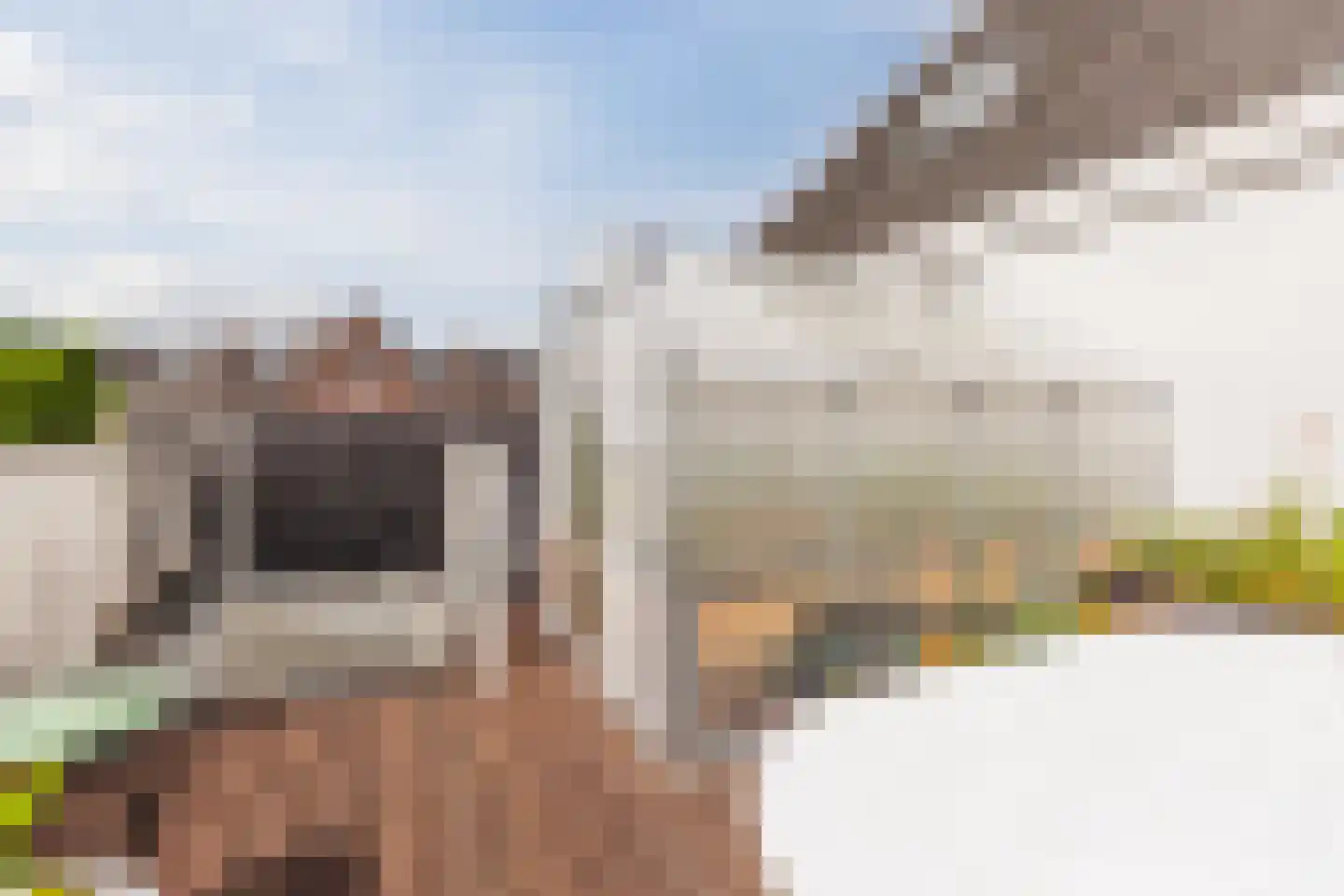 Overtoom 111 Amsterdam thumbnail 50