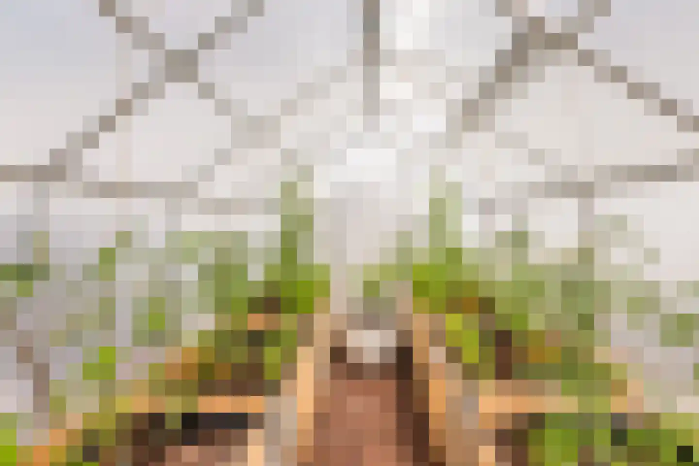 Overtoom 111 Amsterdam thumbnail 51