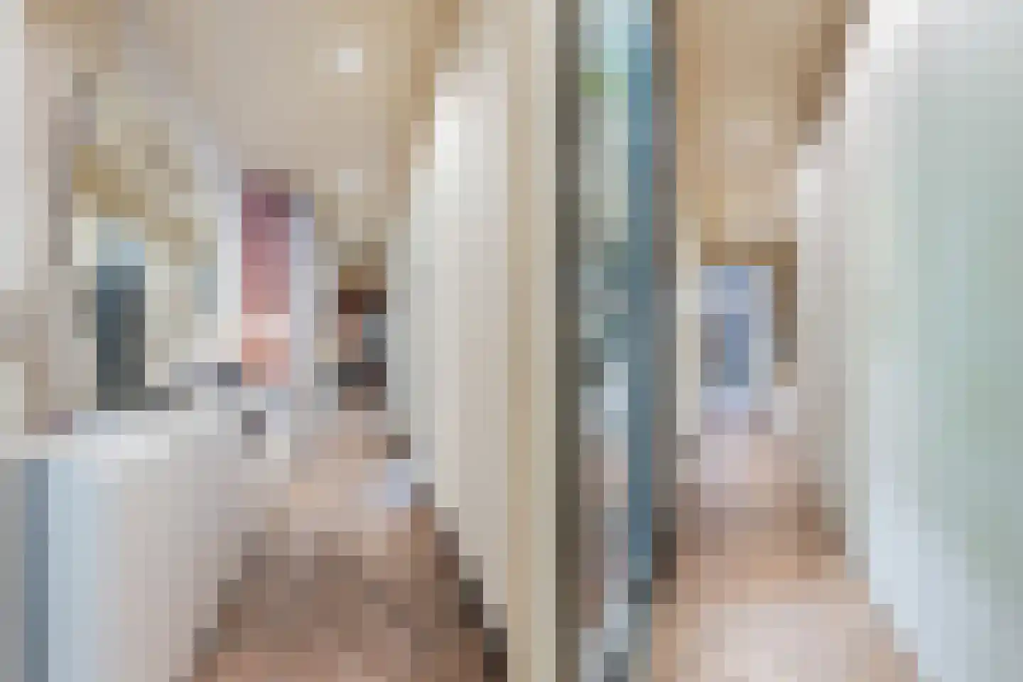 Overtoom 111 Amsterdam thumbnail 9