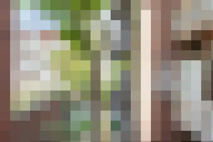 Overtoom 114 2 Amsterdam thumbnail 19