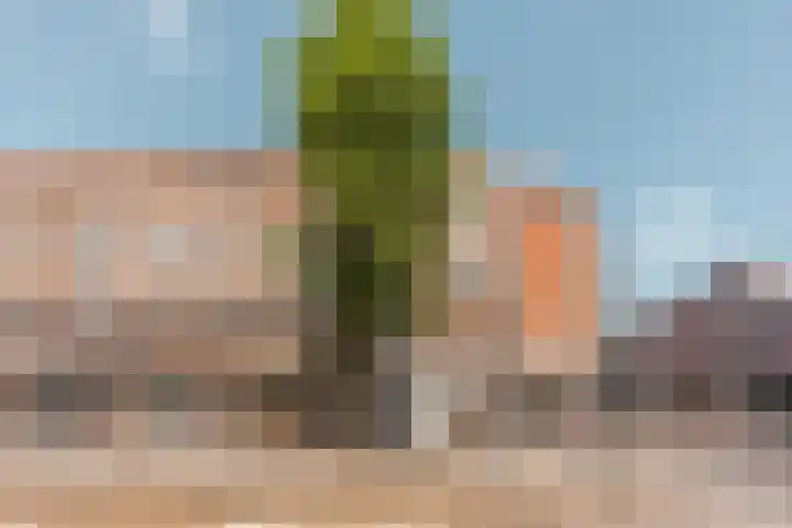 Overtoom 114 2 Amsterdam thumbnail 21