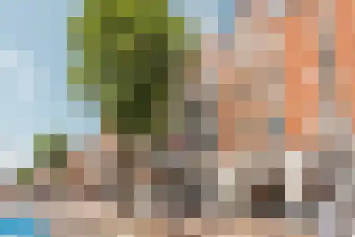 Overtoom 114 2 Amsterdam thumbnail 22