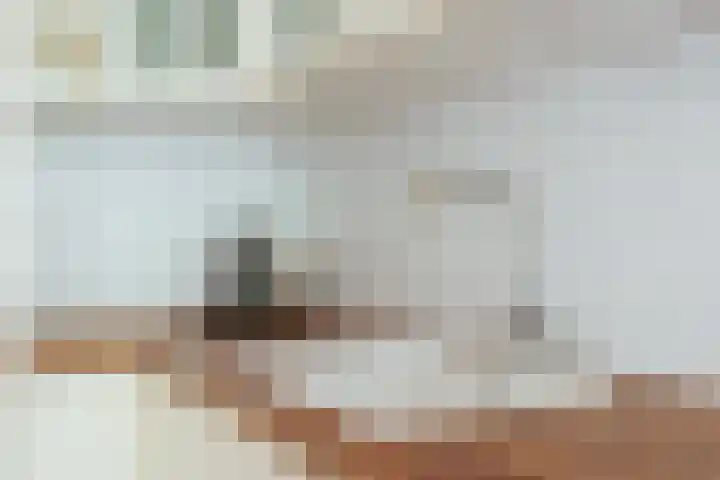 Overtoom 114 2 Amsterdam thumbnail 9