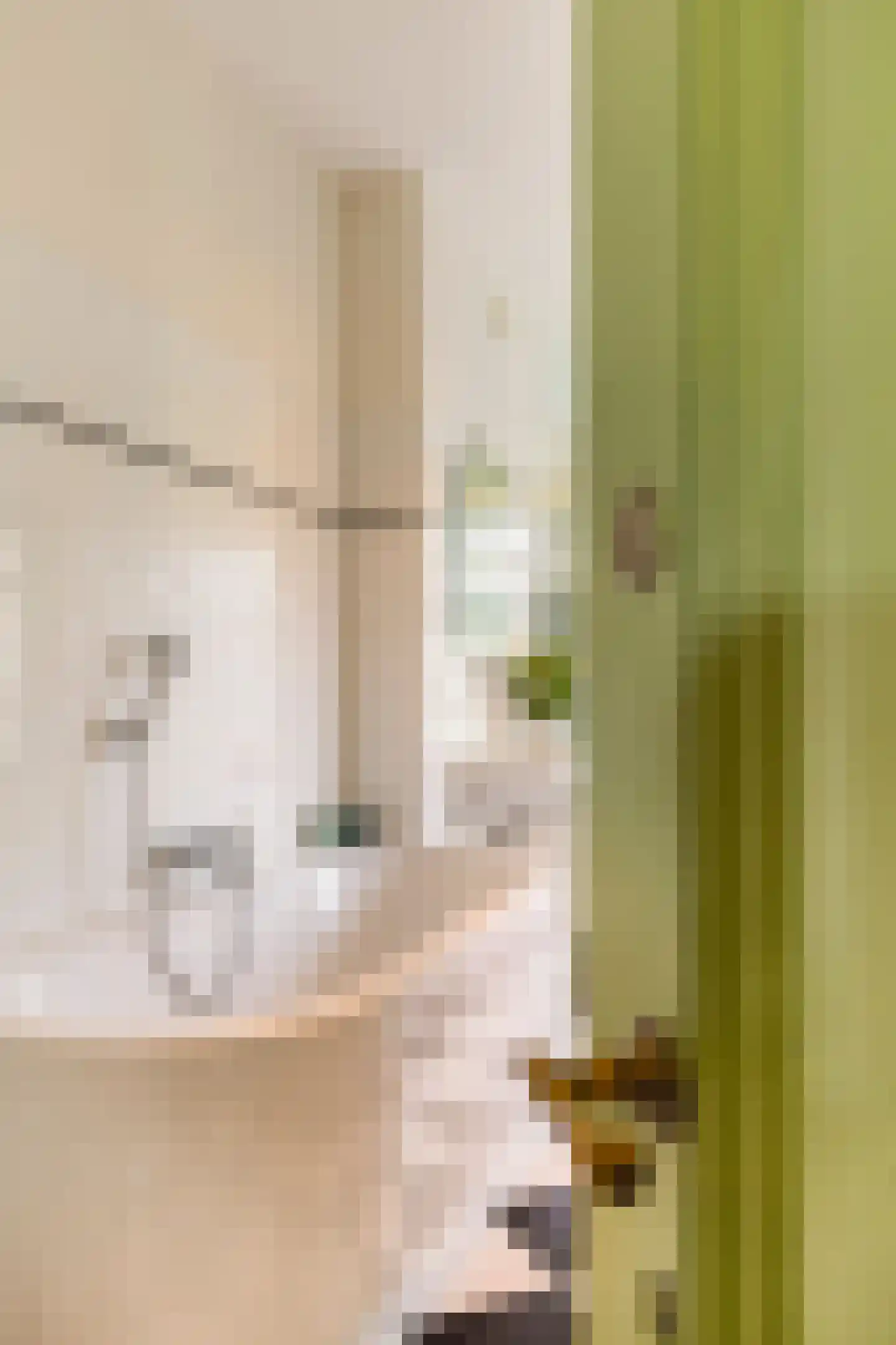 Overtoom 12 2 Amsterdam thumbnail 31