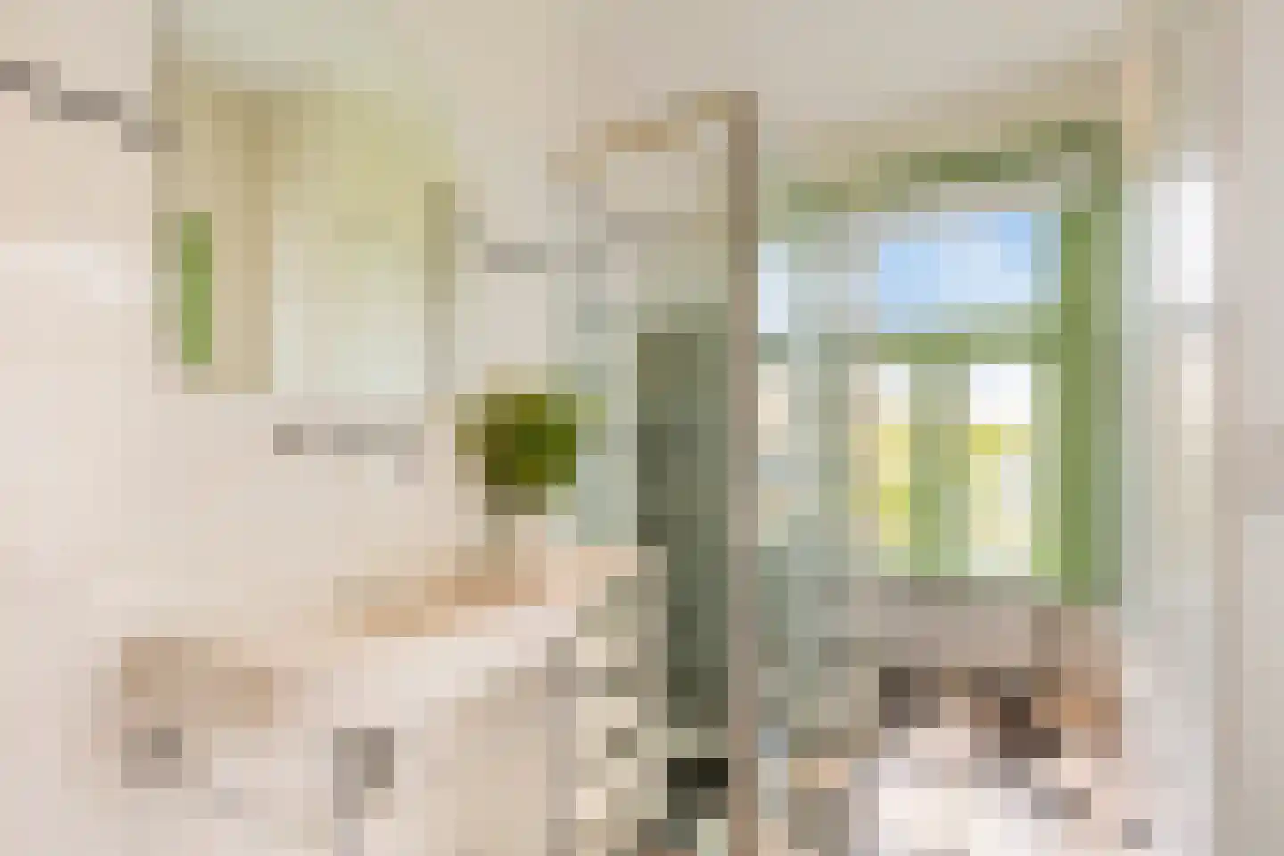 Overtoom 12 H Amsterdam thumbnail 30