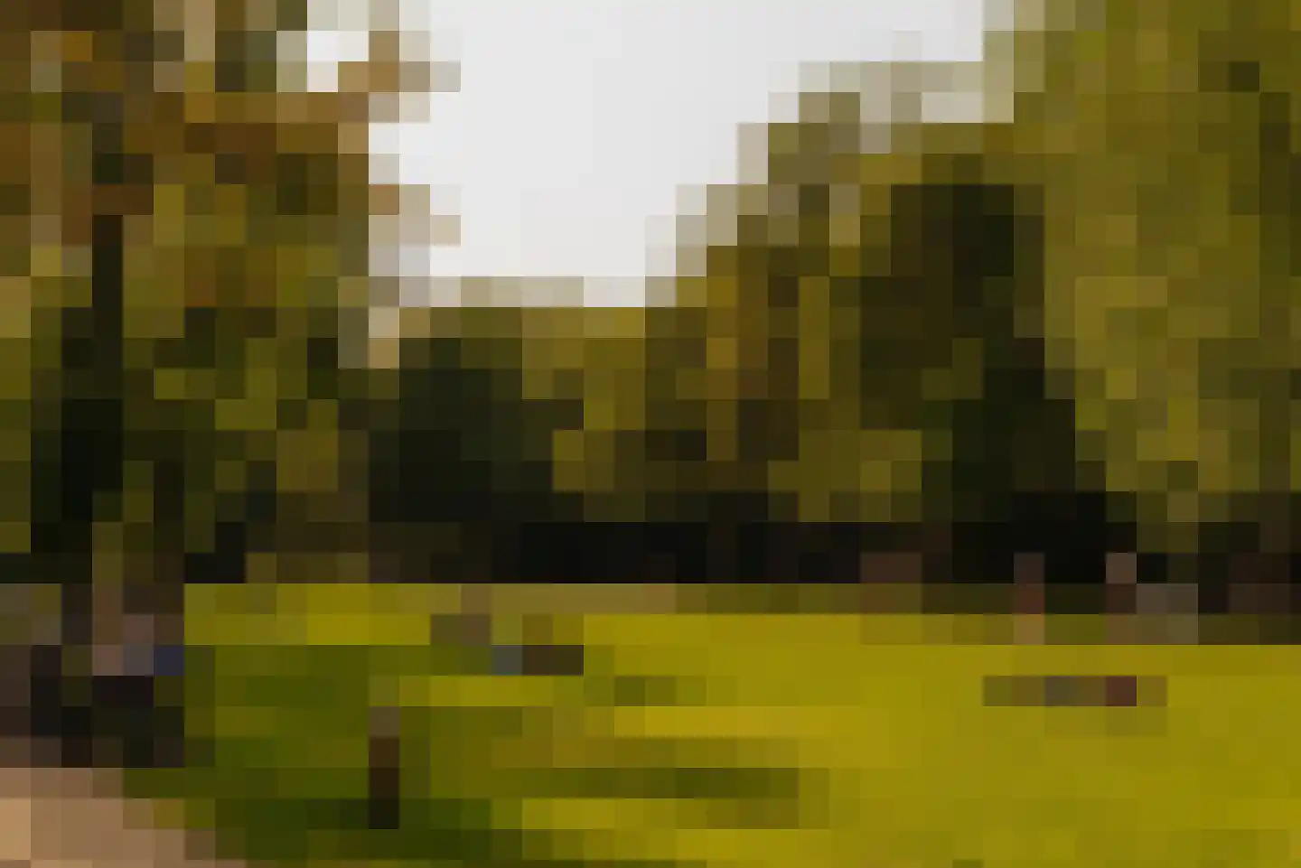 Overtoom 14 H Amsterdam thumbnail 27
