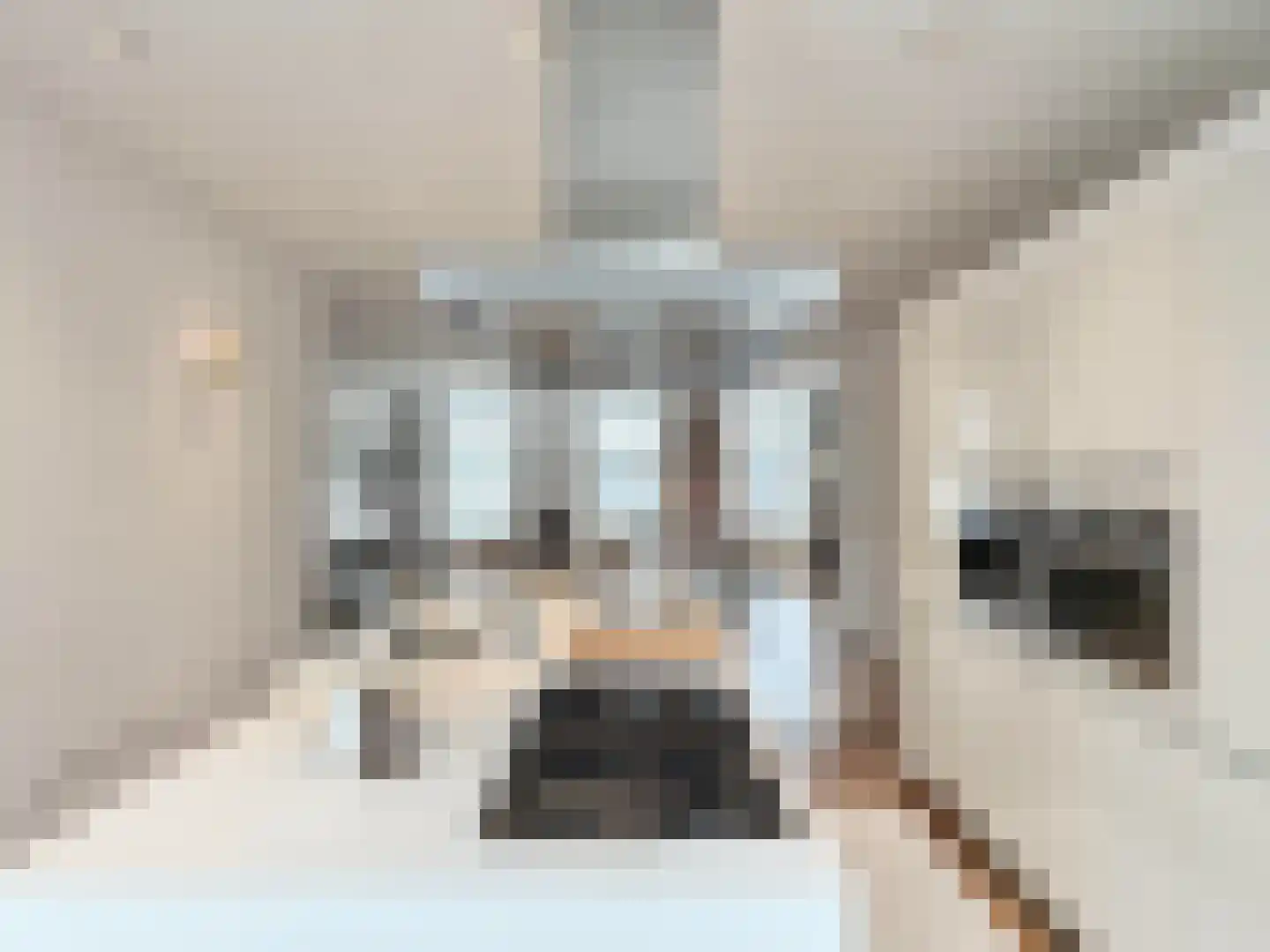 Overtoom 147 H Amsterdam thumbnail 17