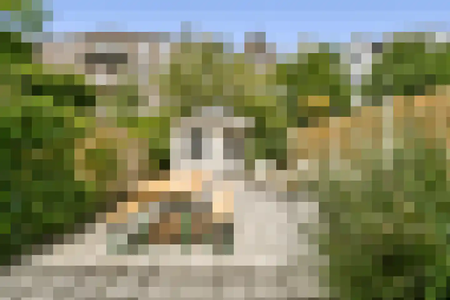 Overtoom 168 3 Amsterdam thumbnail 12