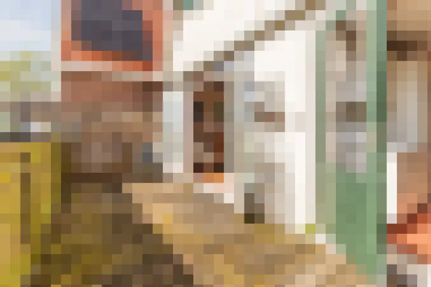 Overtoom 17 Westzaan thumbnail 14