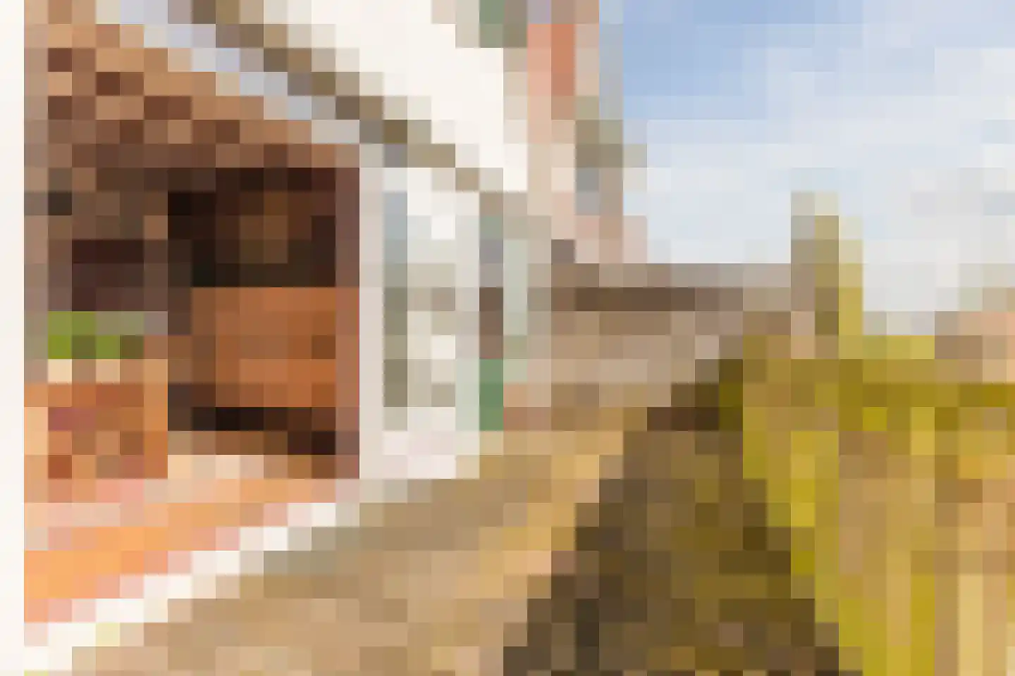 Overtoom 17 Westzaan thumbnail 14
