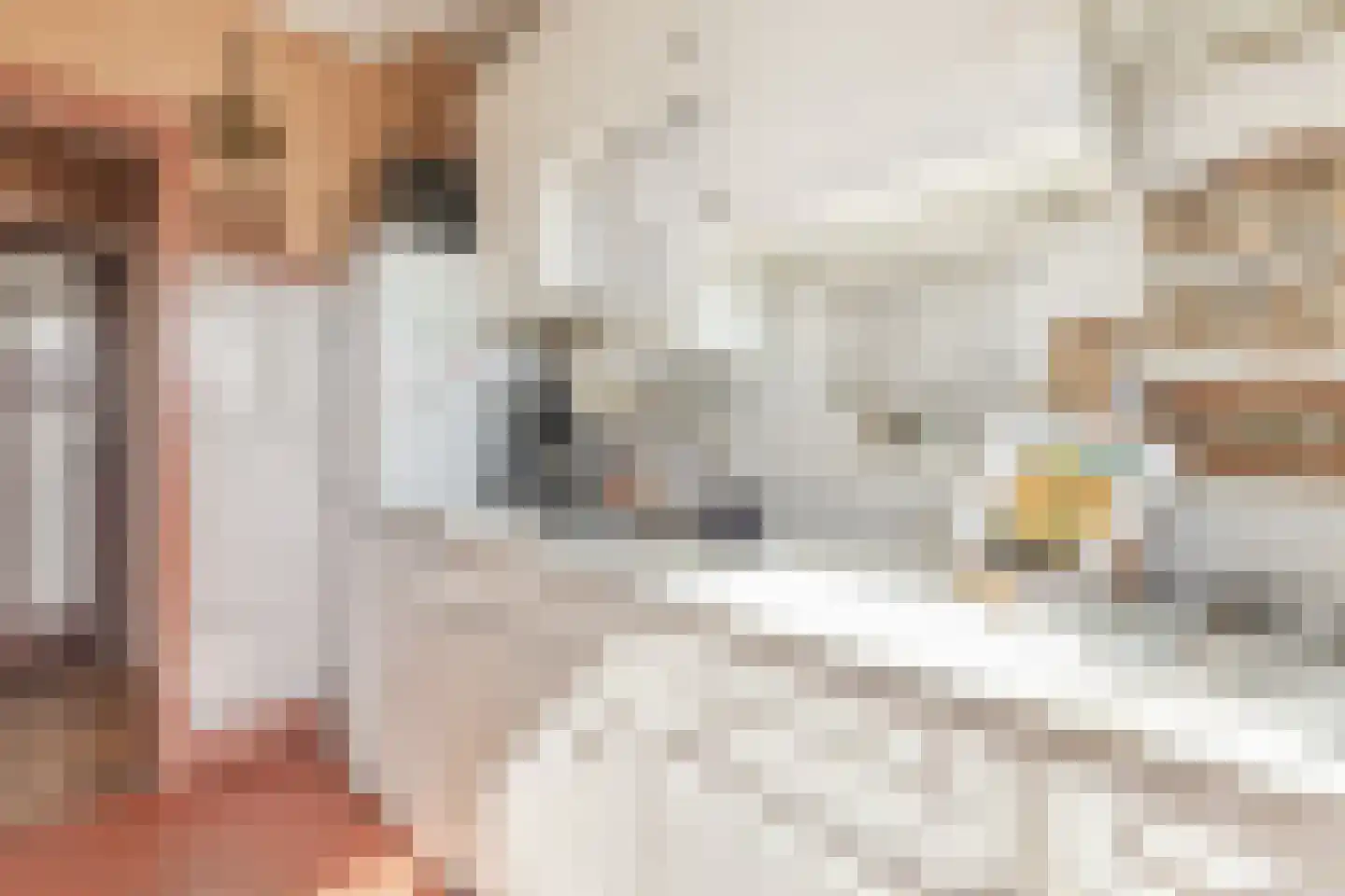 Overtoom 17 Westzaan thumbnail 20