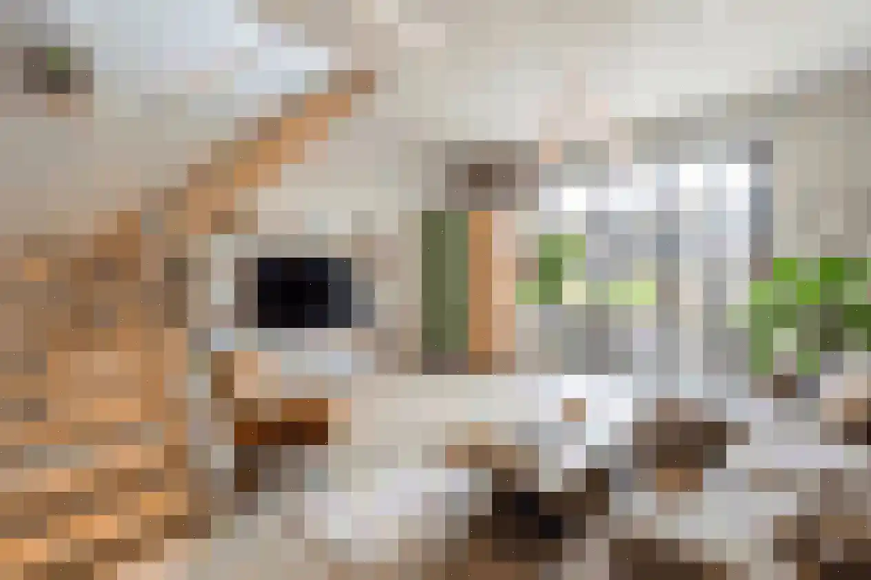 Overtoom 17 Westzaan thumbnail 20