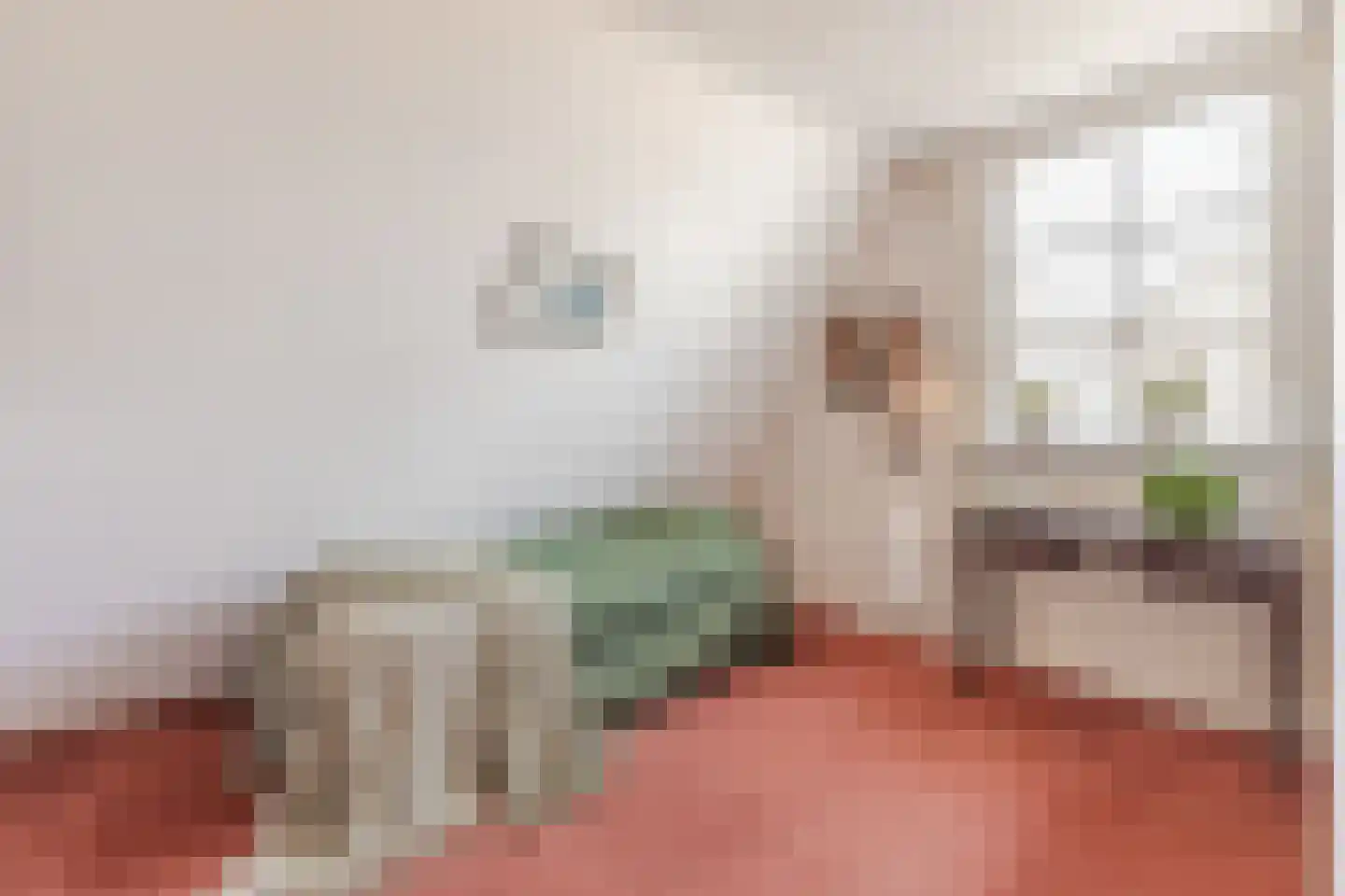 Overtoom 17 Westzaan thumbnail 27