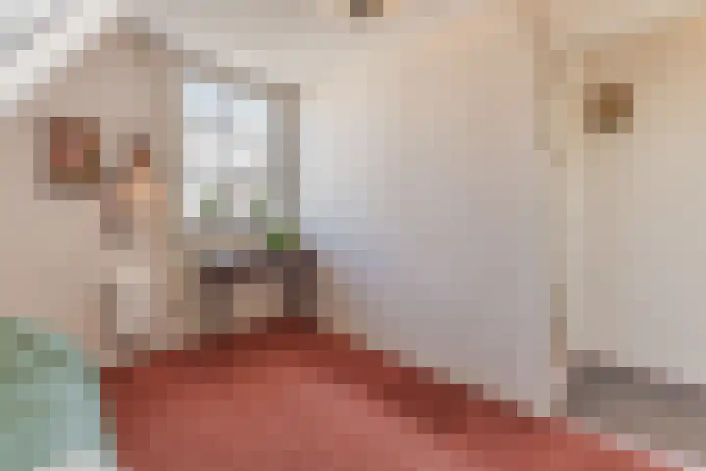 Overtoom 17 Westzaan thumbnail 29