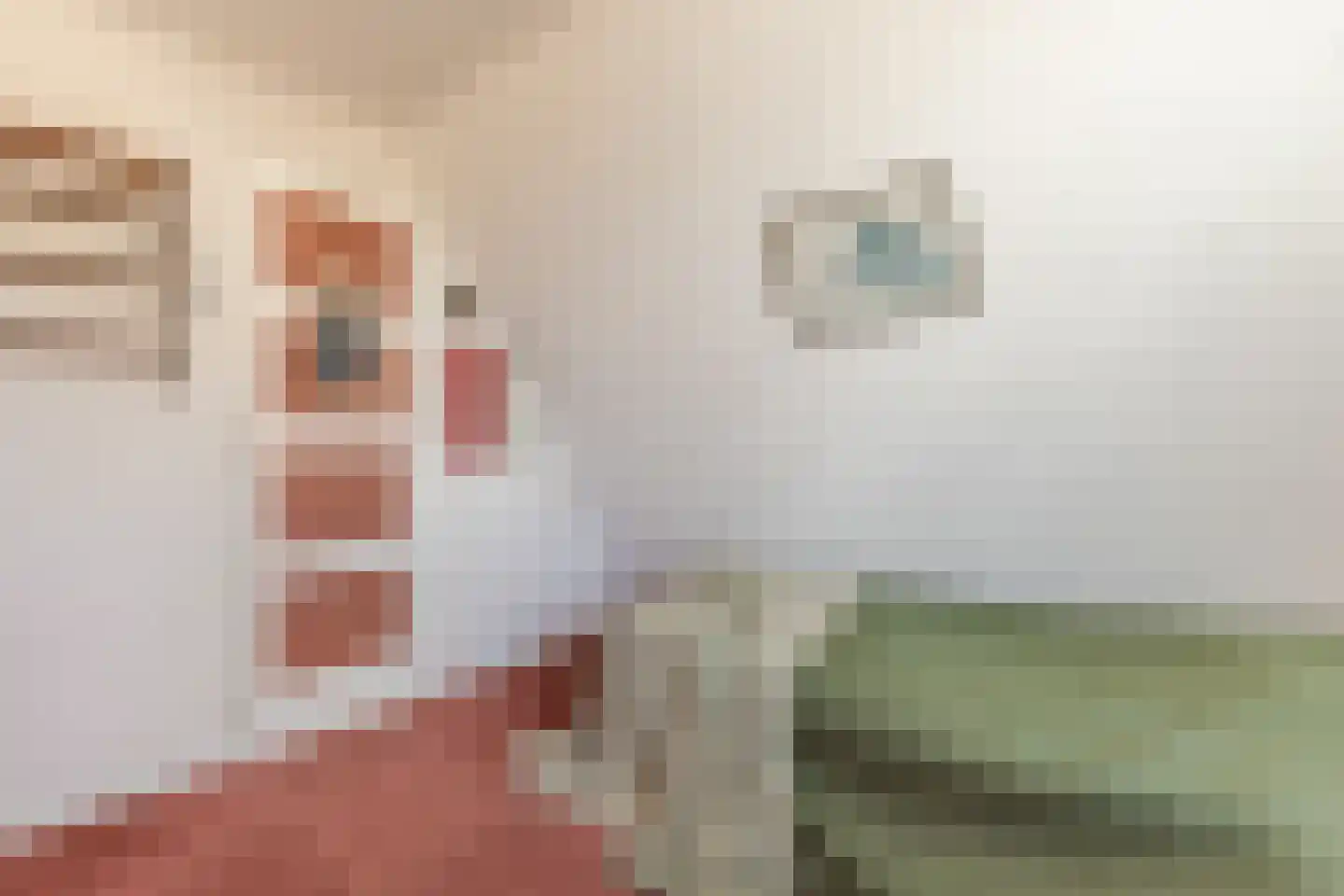 Overtoom 17 Westzaan thumbnail 30