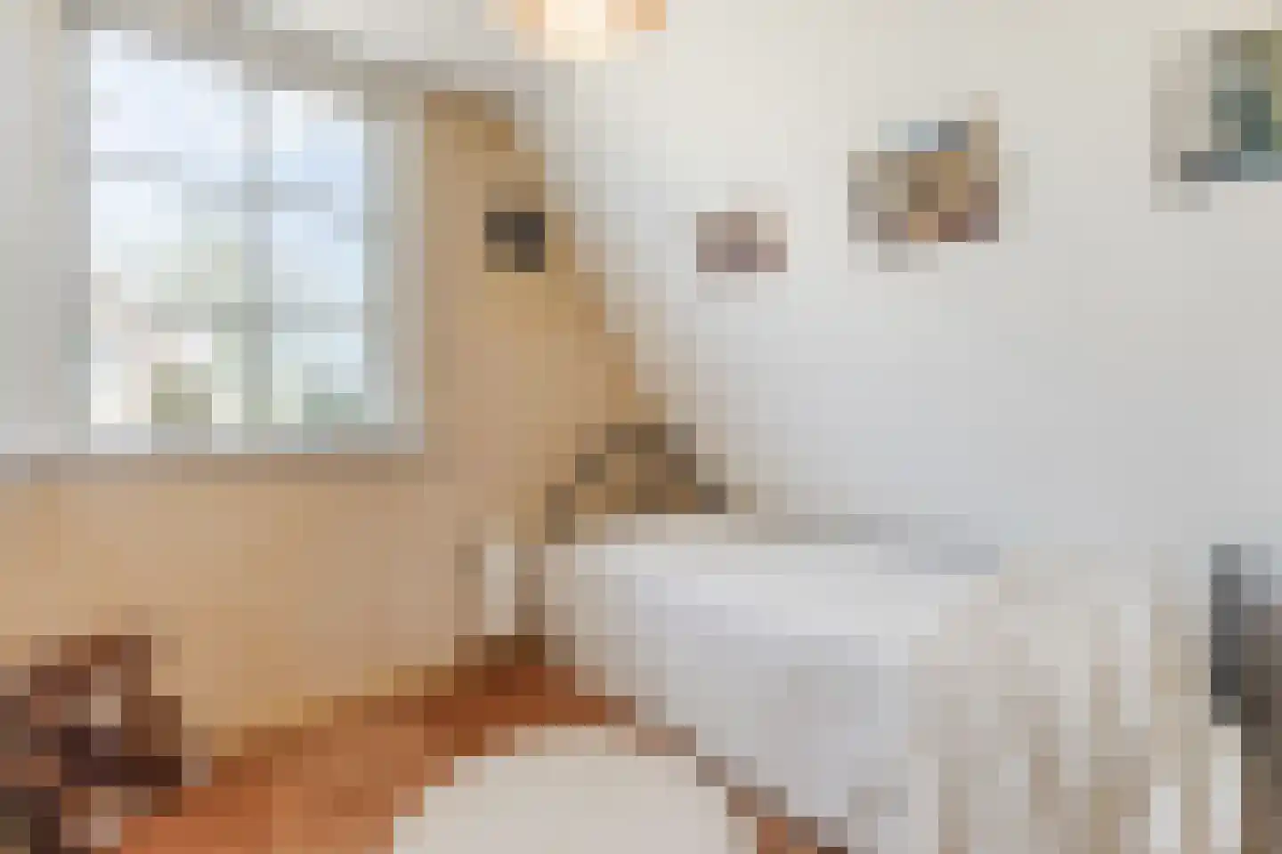 Overtoom 17 Westzaan thumbnail 31