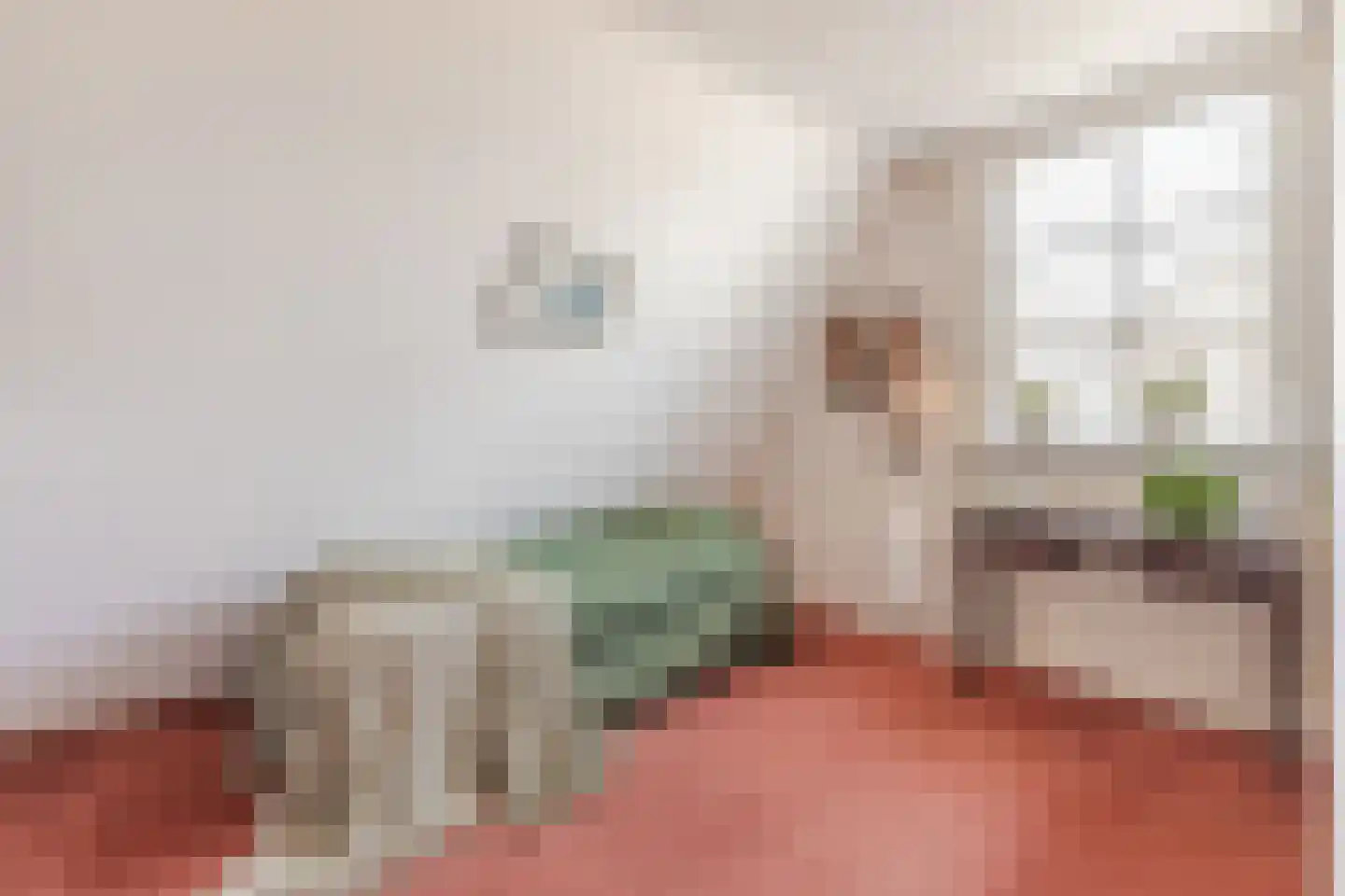 Overtoom 17 Westzaan thumbnail 32