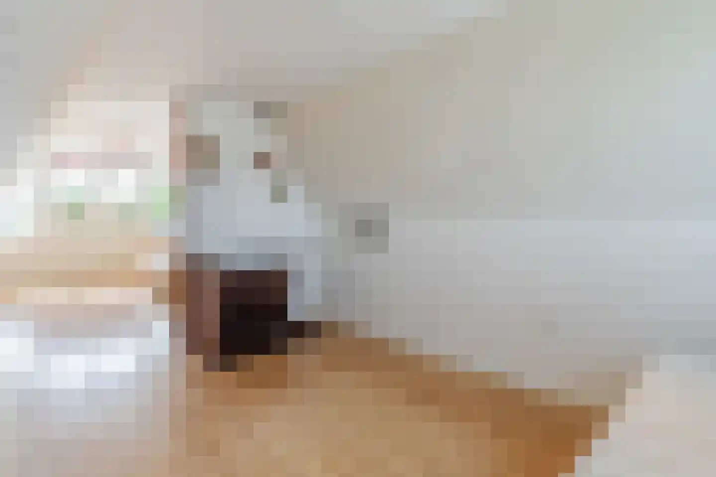 Overtoom 17 Westzaan thumbnail 37