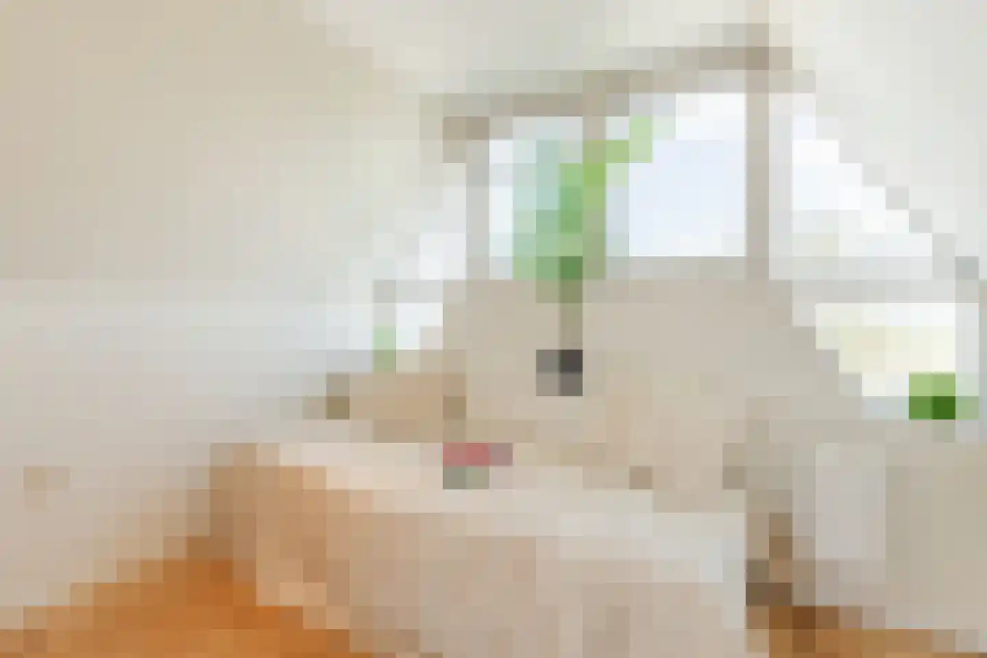 Overtoom 17 Westzaan thumbnail 39