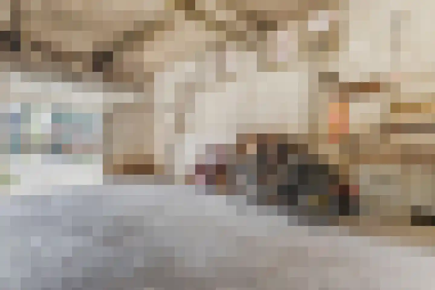 Overtoom 17 Westzaan thumbnail 43