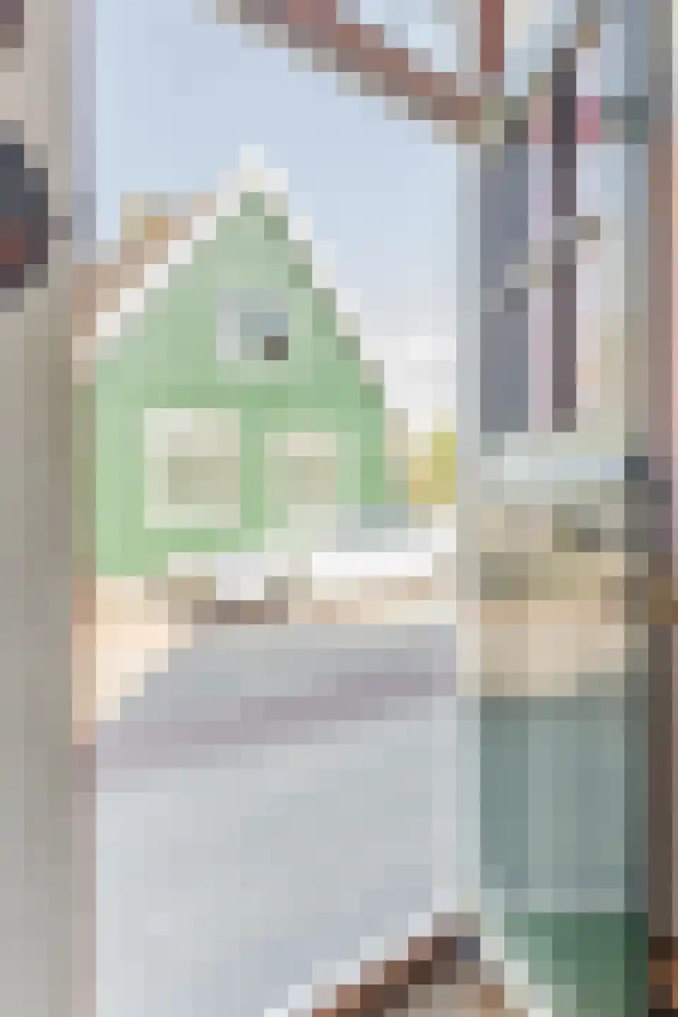 Overtoom 17 Westzaan thumbnail 5