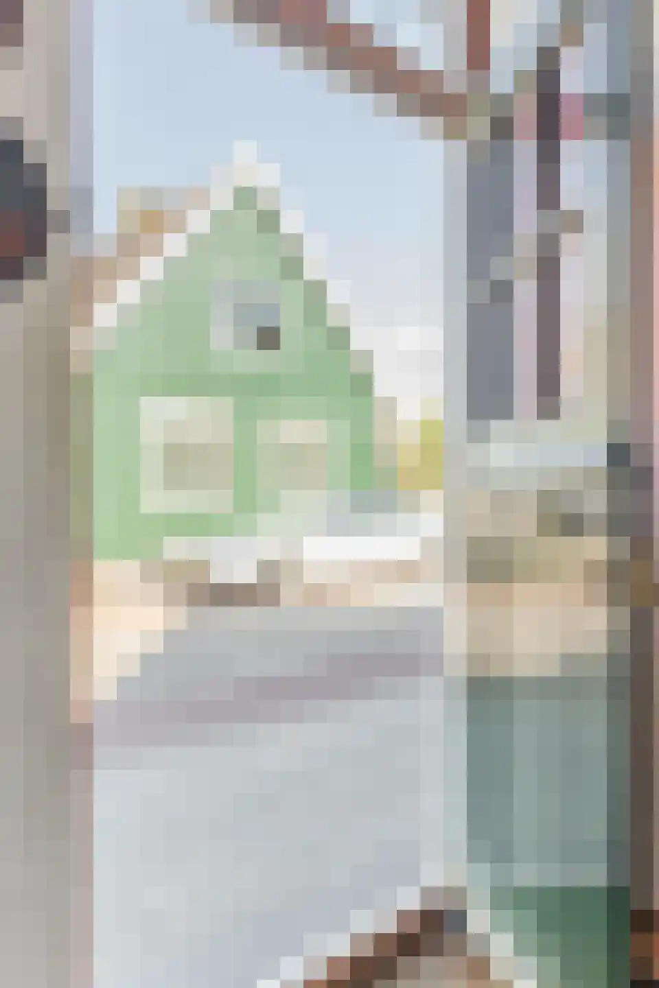 Overtoom 17 Westzaan thumbnail 6