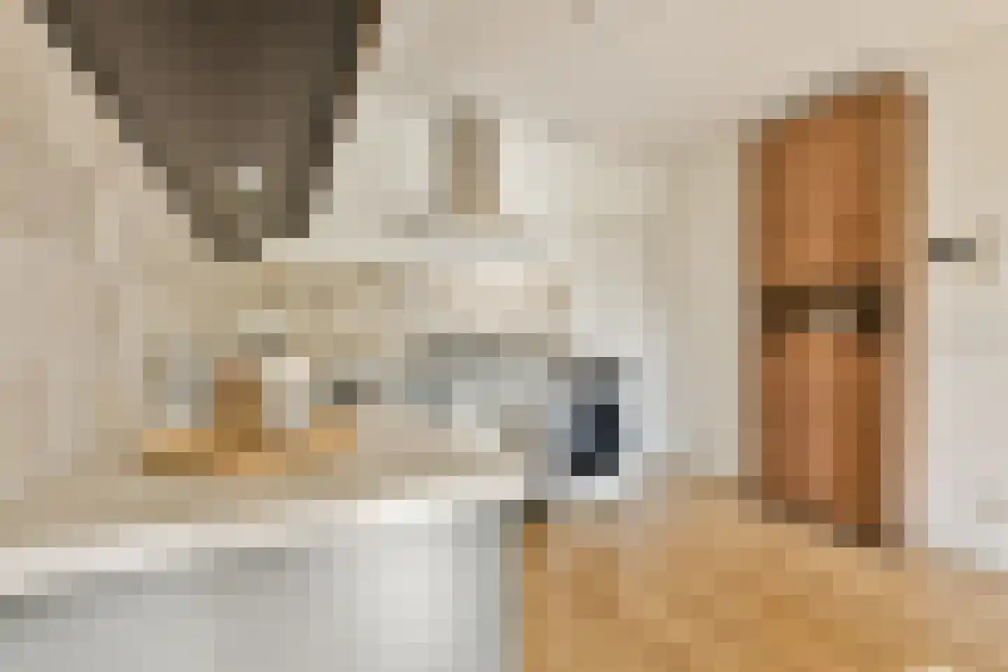 Overtoom 170 2 Amsterdam thumbnail 15