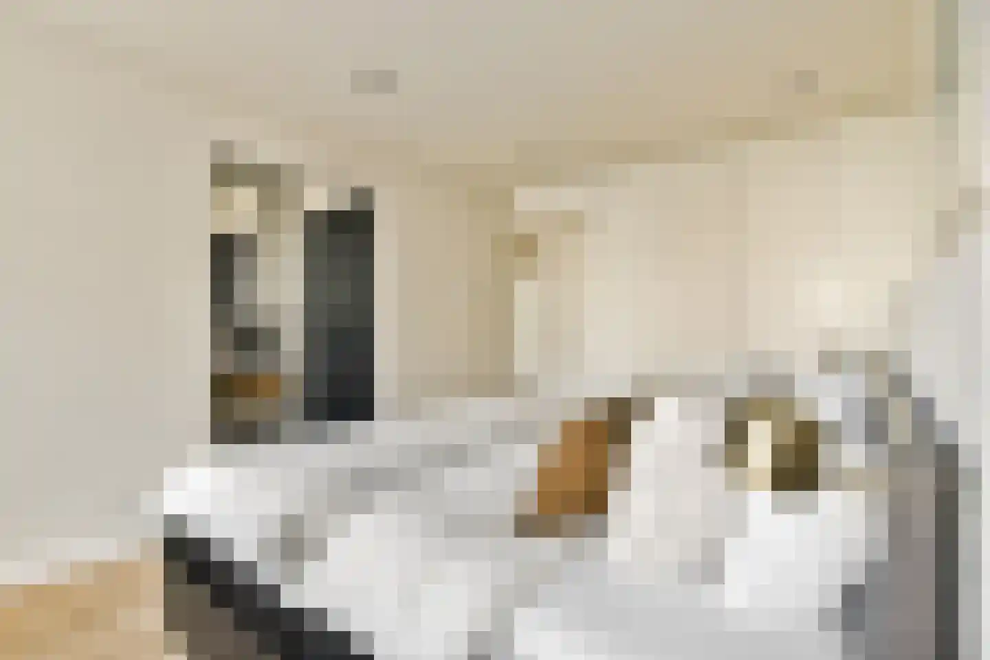 Overtoom 170 2 Amsterdam thumbnail 20