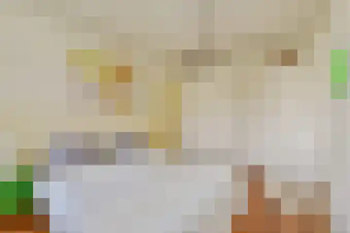 Overtoom 170 H Amsterdam thumbnail 15