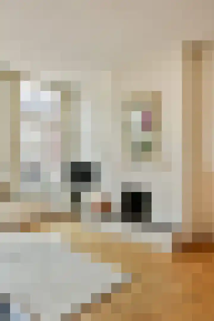 Overtoom 170 H Amsterdam thumbnail 7