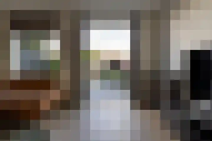 Overtoom 18 Zuidermeer thumbnail 15