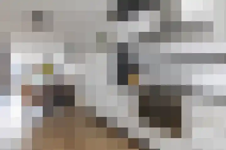 Overtoom 18 Zuidermeer thumbnail 22