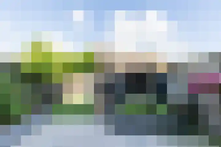 Overtoom 18 Zuidermeer thumbnail 46