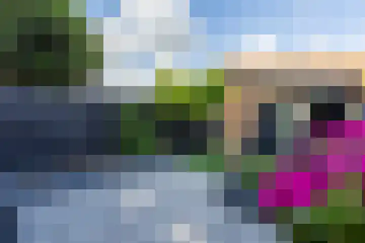 Overtoom 18 Zuidermeer thumbnail 47