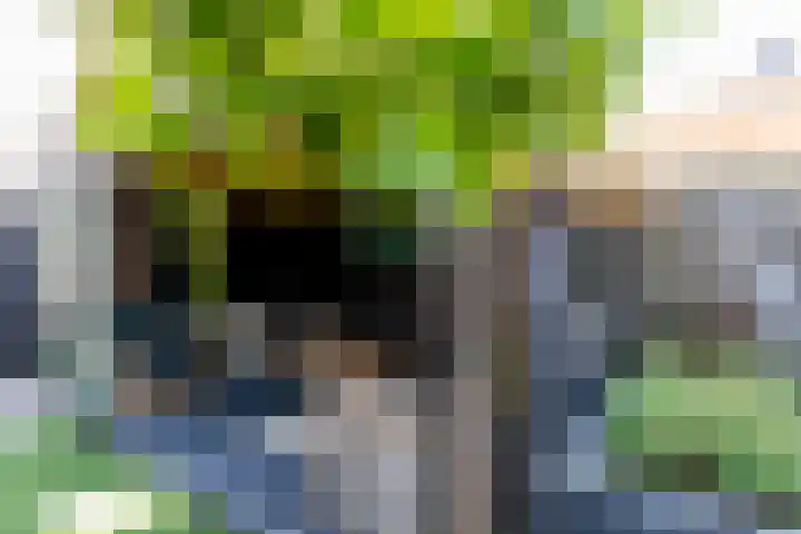 Overtoom 18 Zuidermeer thumbnail 49