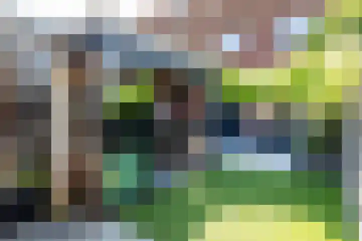 Overtoom 18 Zuidermeer thumbnail 51